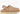 UGG GOLDENSTAR CLOG DRIFTWOOD (W)