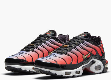 NIKE AIR MAX PLUS SISTERHOOD (W)