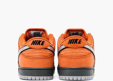 DUNK LOW SB PRO MINI FAST PASS
