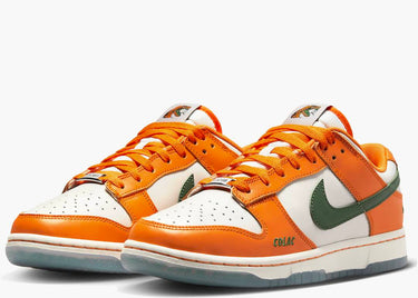 NIKE DUNK LOW FAMU