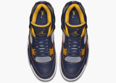 JORDAN 4 DUNK FROM ABOVE