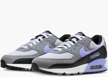 NIKE AIR MAX 90 PHOTON DUST LIGHT THISTLE