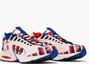 NIKE AIR MAX TRIAX 96 DOERNBECHER (2019)