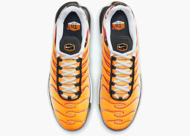 NIKE AIR MAX PLUS SHERBERT