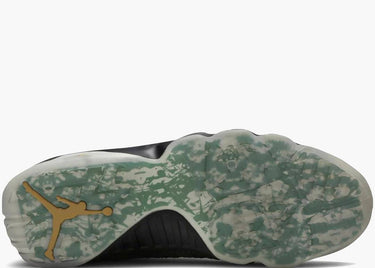 JORDAN 9 RETRO DOERNBECHER POLLITO