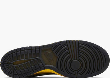NIKE DUNK LOW WHAT THE DUCK HOME UNIVERSITY OF OREGON PE