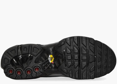 NIKE AIR MAX PLUS TIEMPO WOLF GREY BLACK